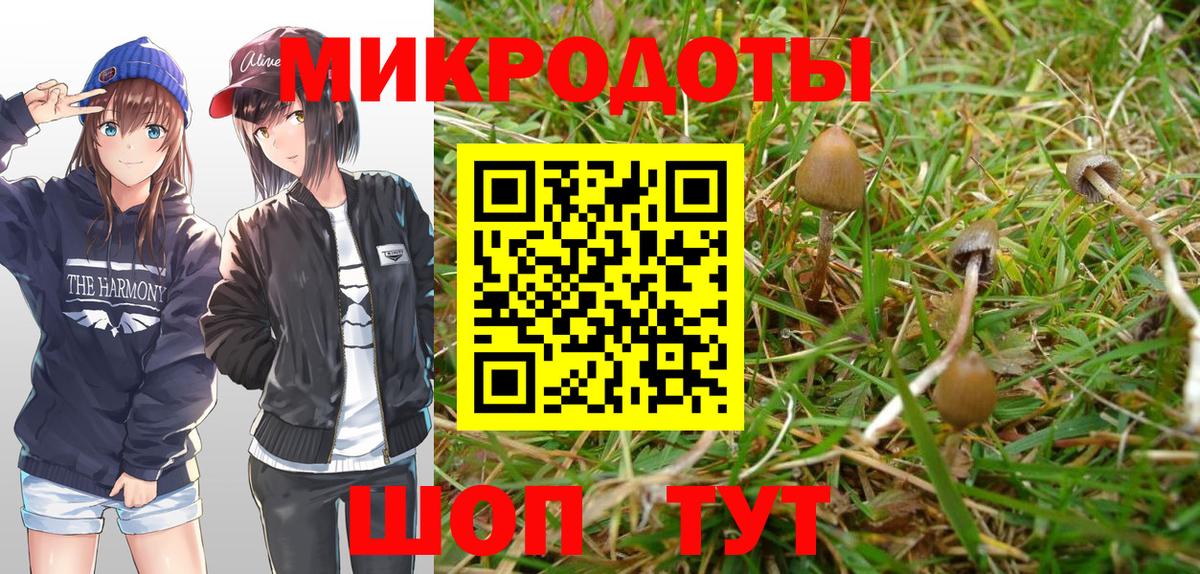 Псилоцибиновые грибы GOLDEN TEACHER Златоуст